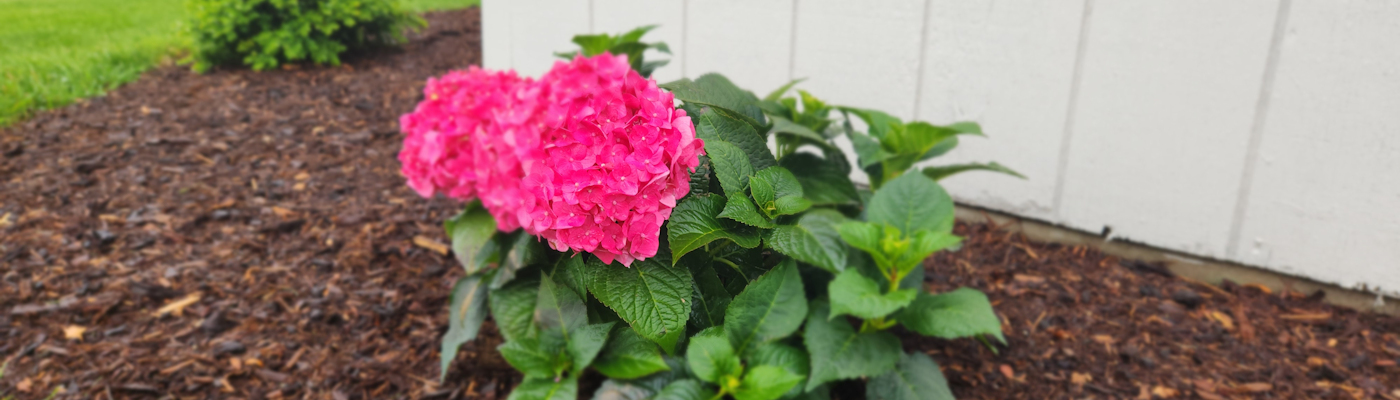 SR Landscaping & Snow Removal
